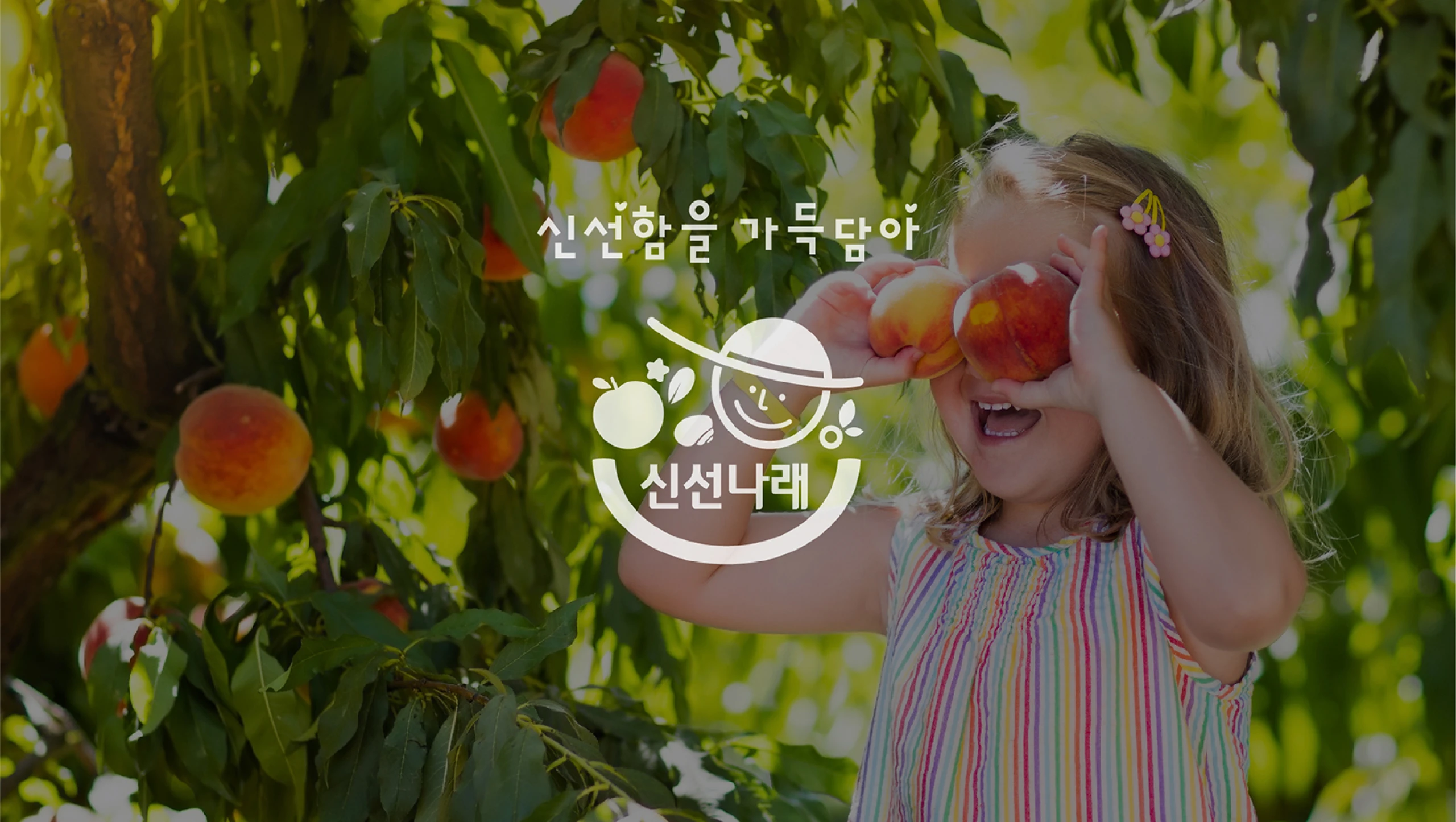 신선나래