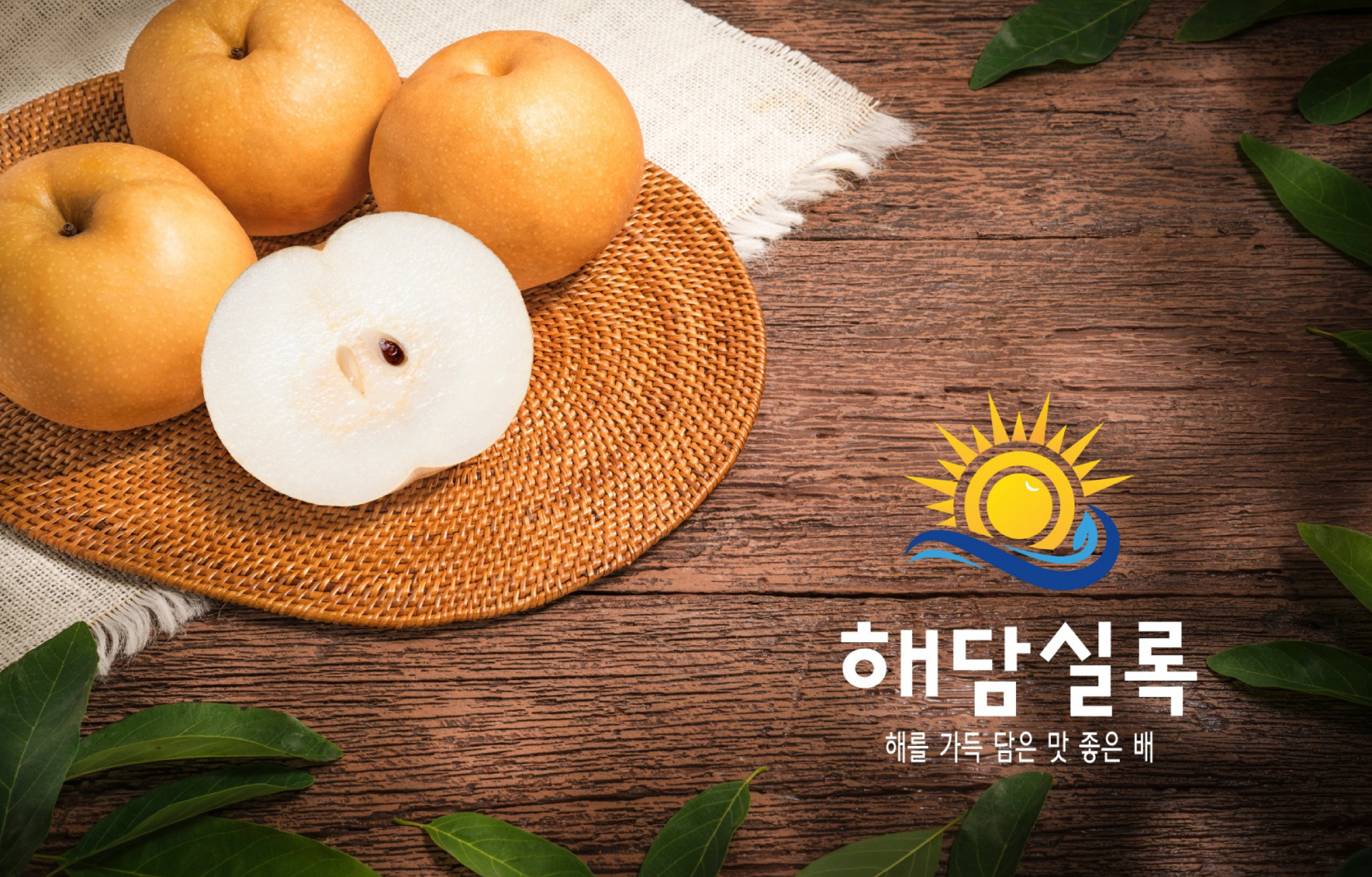 해담실록