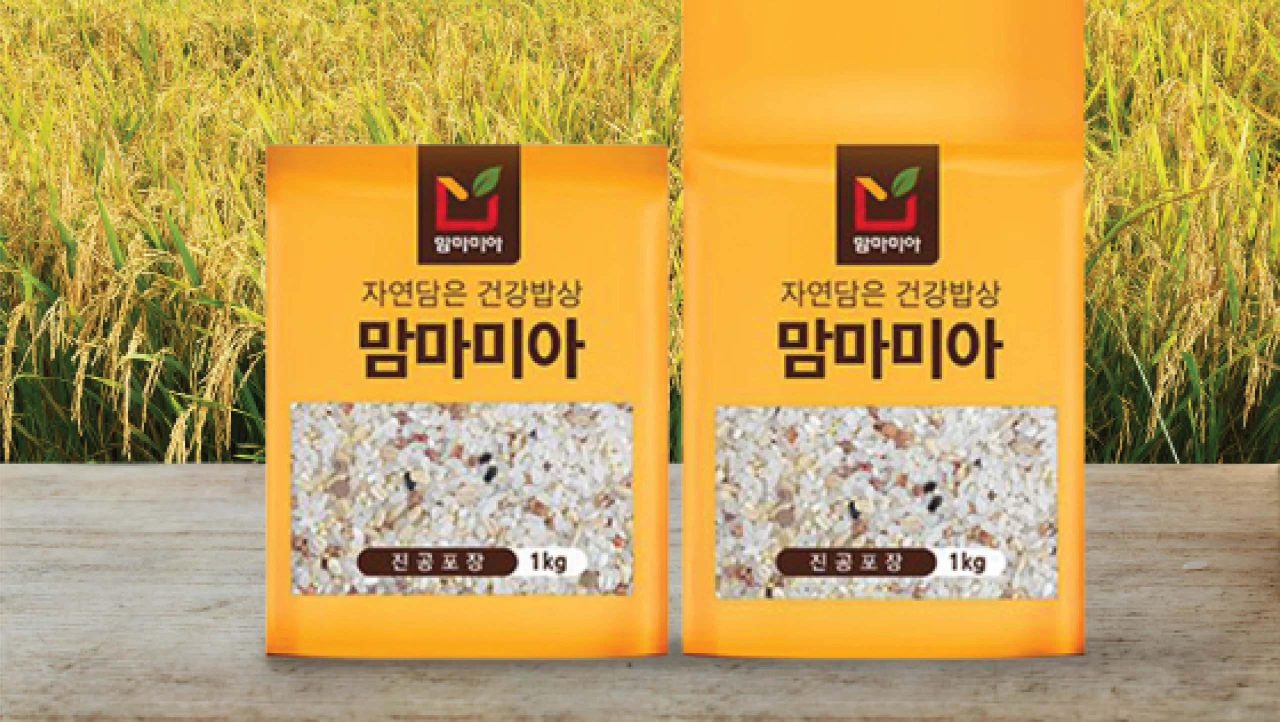 맘마미아