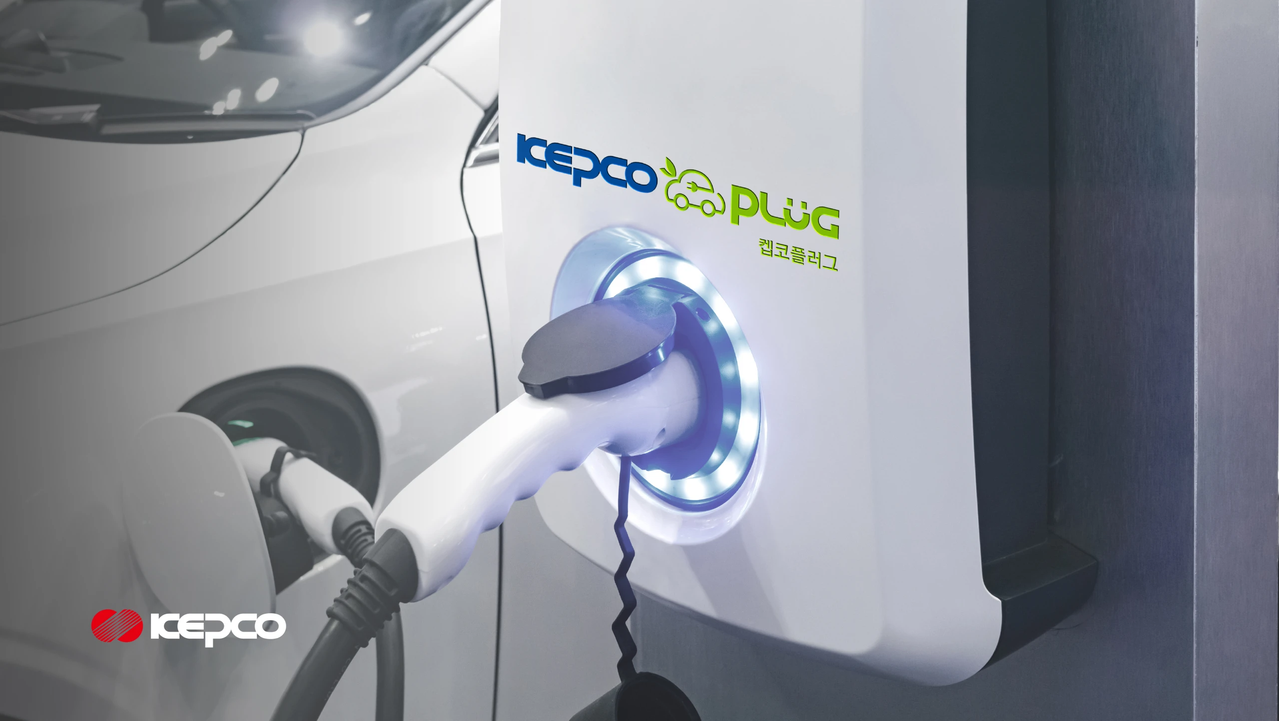 KEPCO PLUG